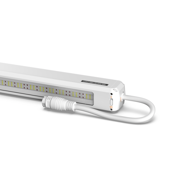 LUXX 200W BAR