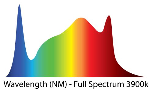 full-spectrum